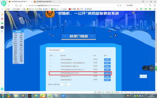 雙隨機(jī)一公開消防監(jiān)管信息系統(tǒng)運(yùn)行維護(hù)服務(wù)公告